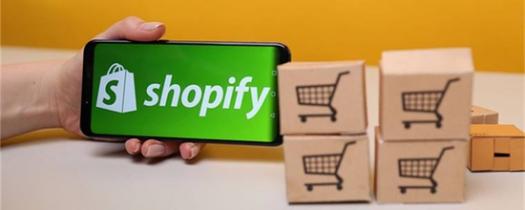 Shopify企业网站订单分类